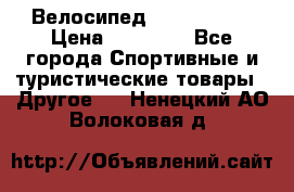 Велосипед Viva Castle › Цена ­ 14 000 - Все города Спортивные и туристические товары » Другое   . Ненецкий АО,Волоковая д.